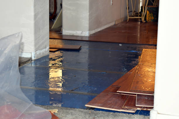 Professional Basement Flood Cleanup technician working in Arab, AL